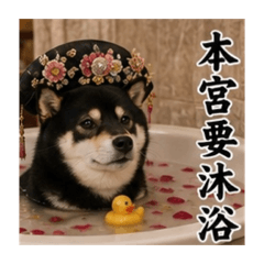 麒麟某天成為皇后