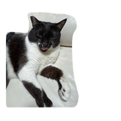 阿醜ㄉㄜ世界