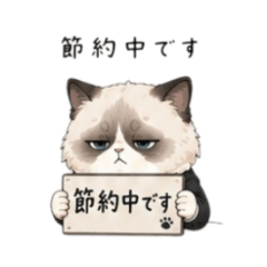 ぶちょうねこ《節約中です》