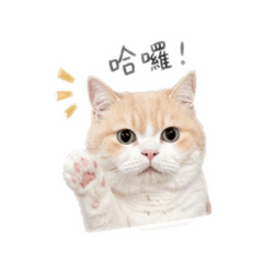 奶油已讀亂回