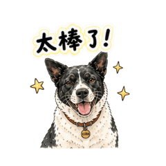 Team 小熊-4