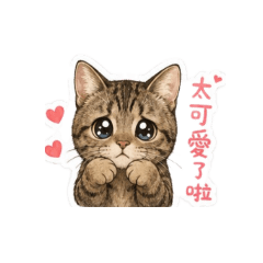 西瓜的心情
