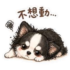 貝貝&咪嚕III