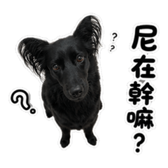 我是摳仔Part2