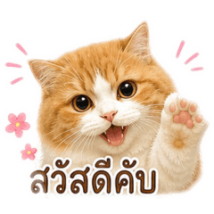 My singtonoi_20260501153044