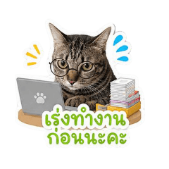 Sarinee Seeya_20260502205852