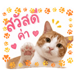 MaweJiew
