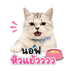 Nof_nof