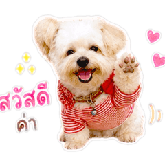 Nomphong 1
