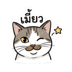 Mustache Cat v.1