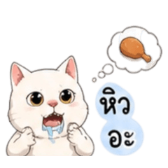 Maru chubby cat