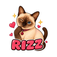 Gen Z Siamese Cat