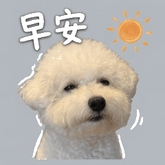 咪嚕可愛日常