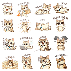 摩卡 Cat1