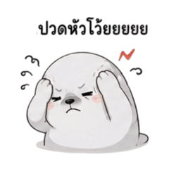 A Seal Thoughts