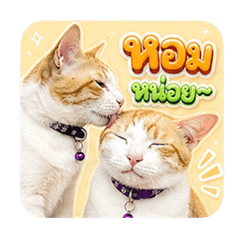 Moji and Khaohom