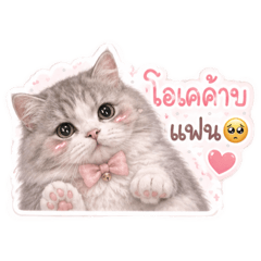 Afe23_20260516115741