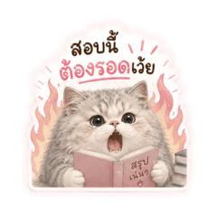Afe23_20260516232215