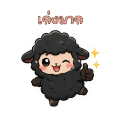 Black sheep, begging, super cute.