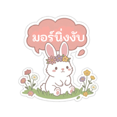 little bunny so cute