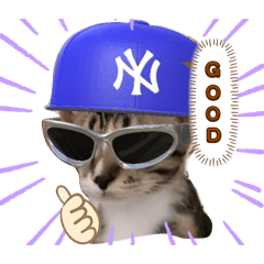 C-cattt
