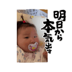 rei_20260624162952