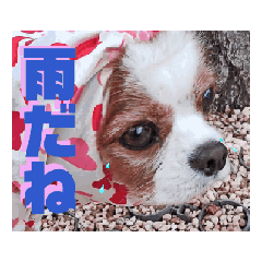 KURU_20260625094456