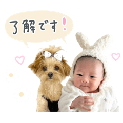 Rechel_20260622131024