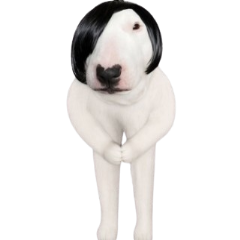 Wiggy Woggy Dog Animated