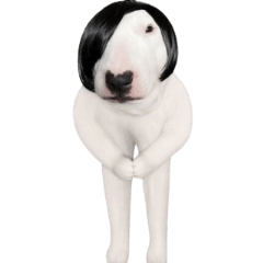 Wiggy Woggy Dog Animated
