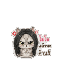 Moji_20260624164342