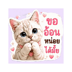 MeeNgeen : The Sweet Cat