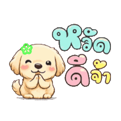 Aommusaoey_20260624211025