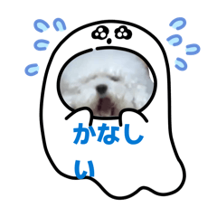 Chae_20260624214706