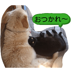Kuronya-_20260623230233