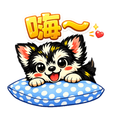 AKI_20260617091655