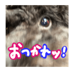 Onakasukitarou_20260615201221