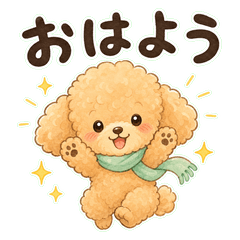 Rushed Poodle Morning Notes