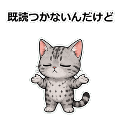 貓咪アラビアンマウ未讀法庭貼圖