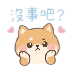 暖心柴柴的日常關懷