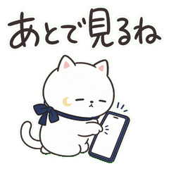 Late White Cat Short Replies