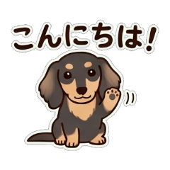 Cute Dachshund Daily