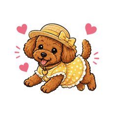 Tea the Toy Poodle