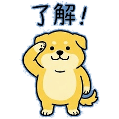 Chubby Doodle Dog: Daily Motions