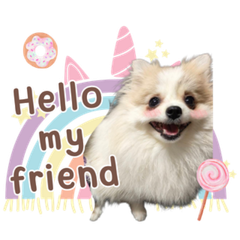 DOG DOG MY LOVE.