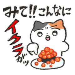 だいすき！寿司！！
