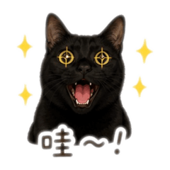 小面面Q版