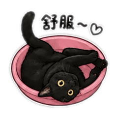 小面面Q版2.0