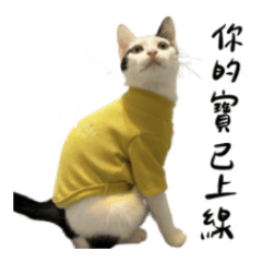 小朋友宇宙霹靂屁孩