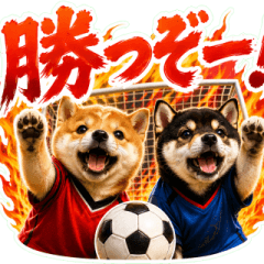 soccer wanko